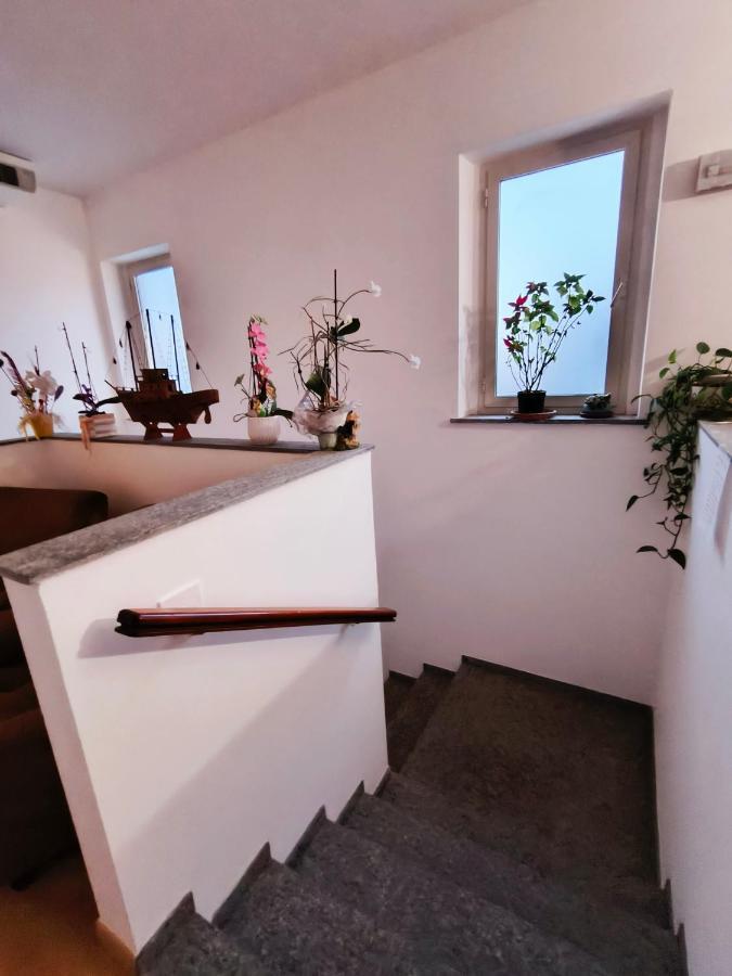 Affittacamere Dolce Sogno 凯拉斯科 外观 照片